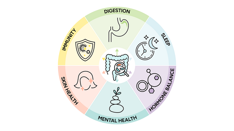 Info graphic with intestines in the middle of a circle surrounded by the words digestion, sleep, hormone balance, mental health, skin health, and immunity and their corresponding icons