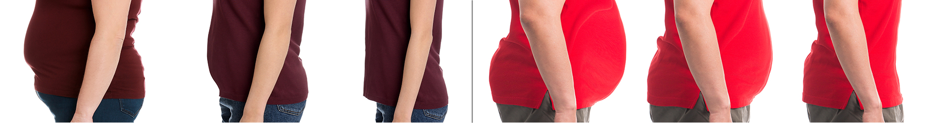 Side profiles of model stomachs