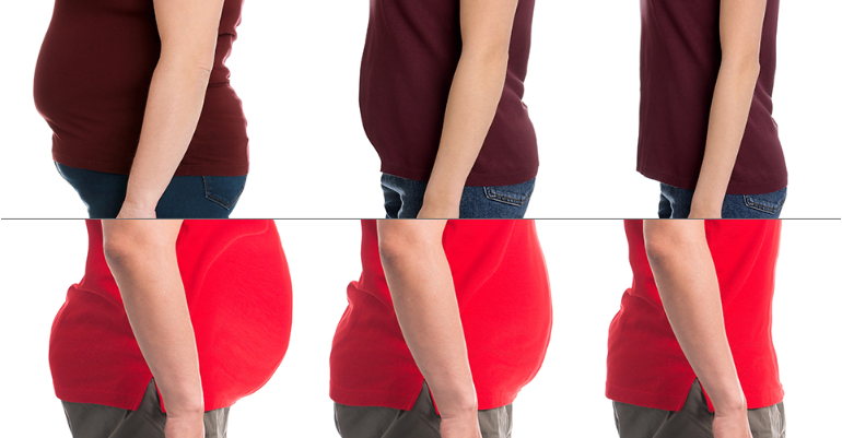 Side profiles of model stomachs