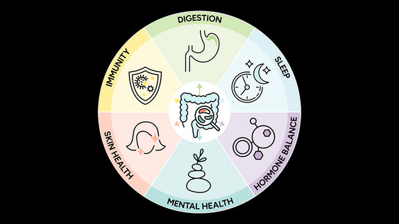 Info graphic with intestines in the middle of a circle surrounded by the words digestion, sleep, hormone balance, mental health, skin health, and immunity and their corresponding icons