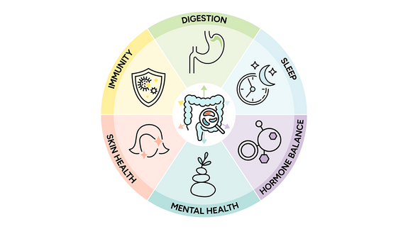 Info graphic with intestines in the middle of a circle surrounded by the words digestion, sleep, hormone balance, mental health, skin health, and immunity and their corresponding icons