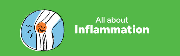 All about inflammation with an image of a swollen knee