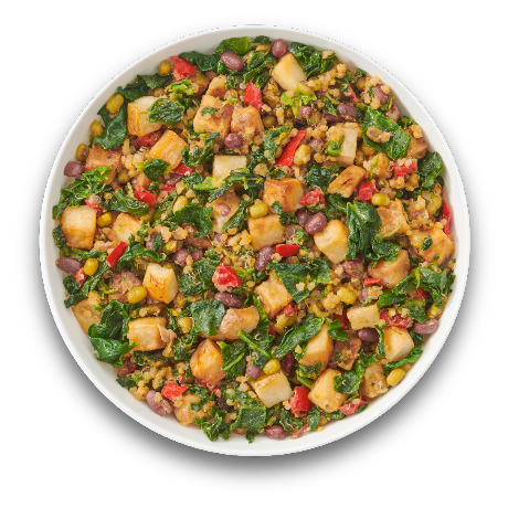 Bowl of GOLO Foods plant based blend