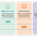 30-Day Metabolic Reset Plan